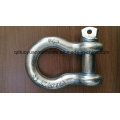 China Manufacturer JIS Type Galvanized D Shackle Marine Hardware